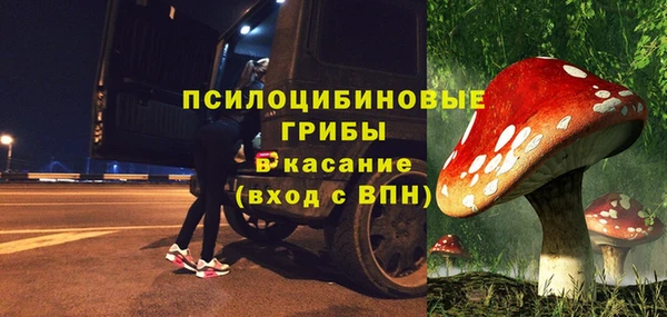 дживик Беломорск