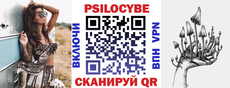 Псилоцибиновые грибы Cubensis  Мосальск 